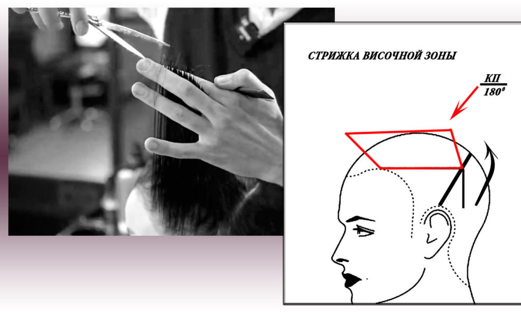 Градуирование волос височной зоны при моделировании прически маллет